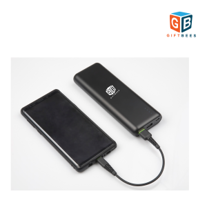 ChargePro Portable Power Bank
