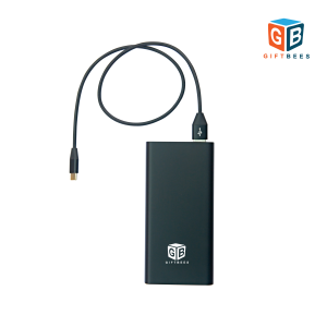 PocketCharge Mini Power Bank