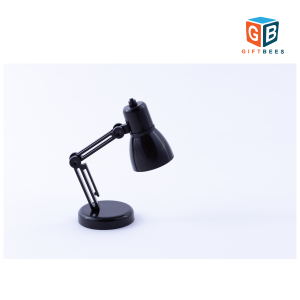Mini Adjustable Desk Lamp