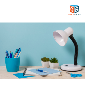 Flexible Gooseneck Desk Lamp